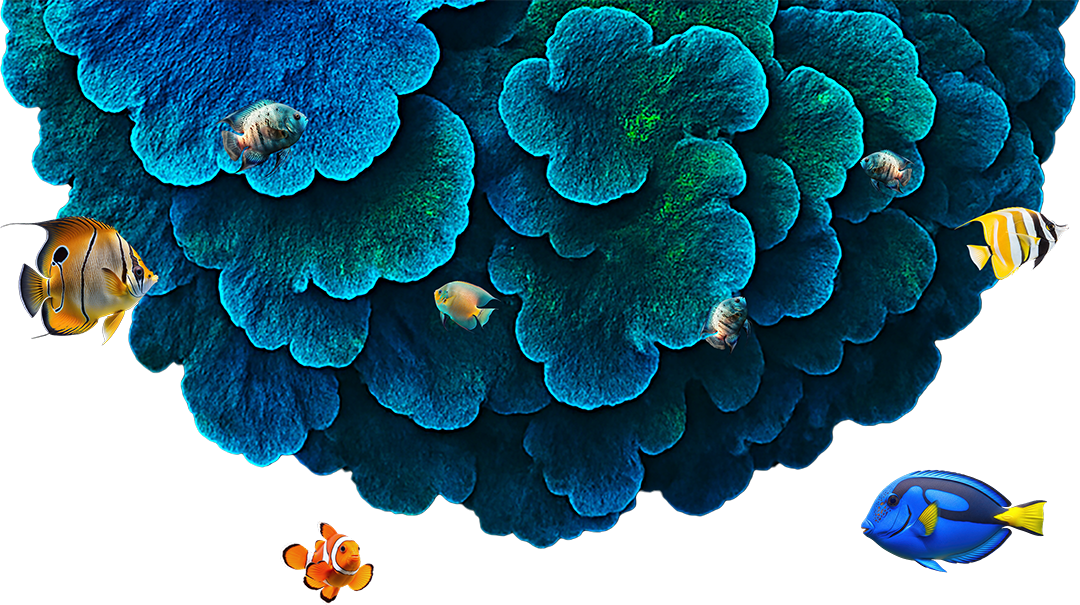 Bottom half of a sphere