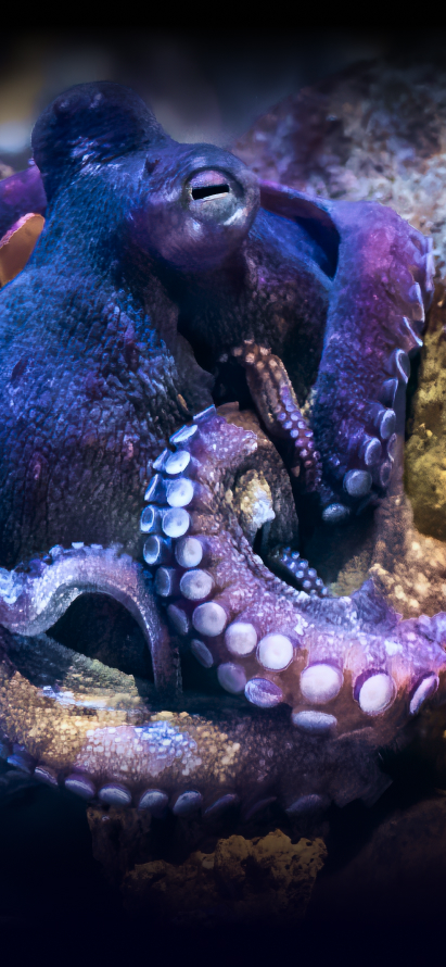 Marine Environmental Science 16