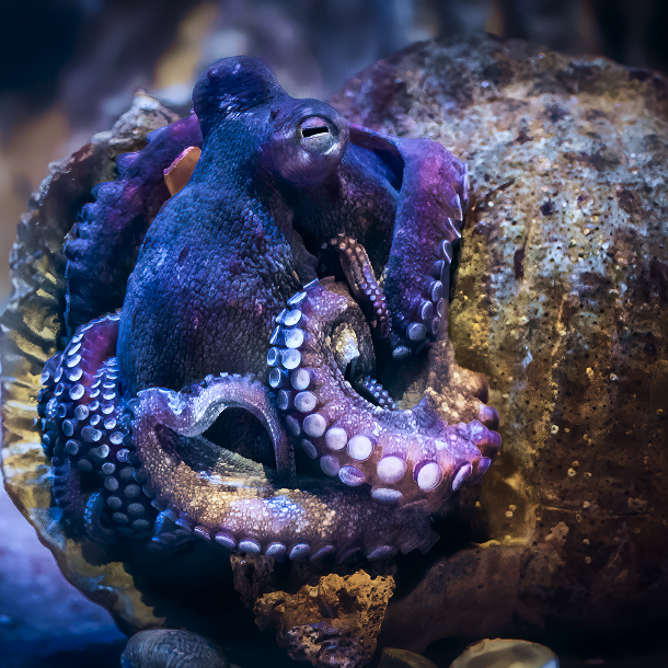 Marine Environmental Science 18