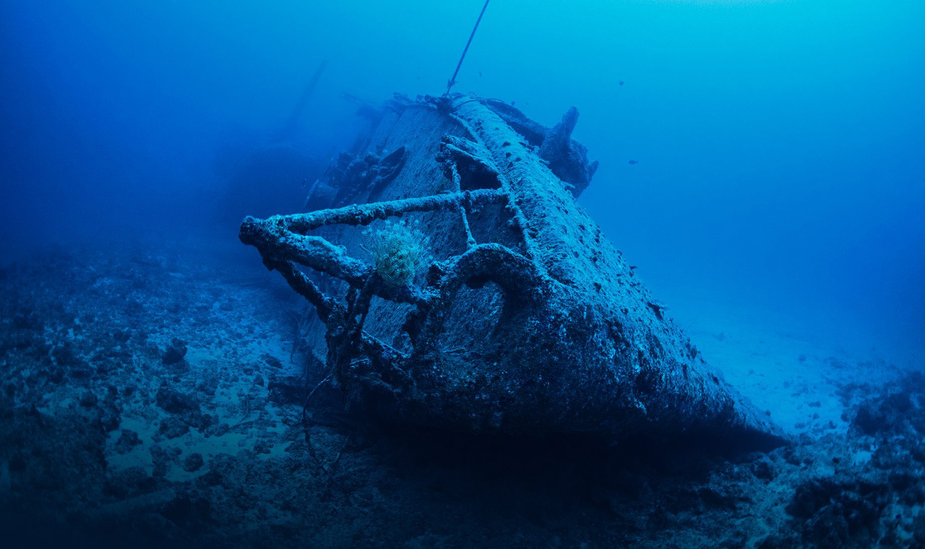 Membership Benefits 4