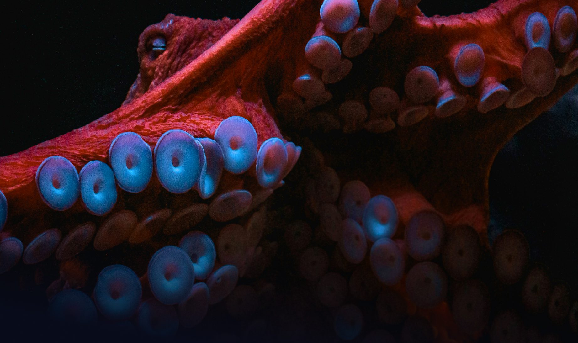 Membership Benefits 7