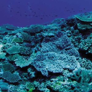 Perth - Positioning and Survey Course 2026