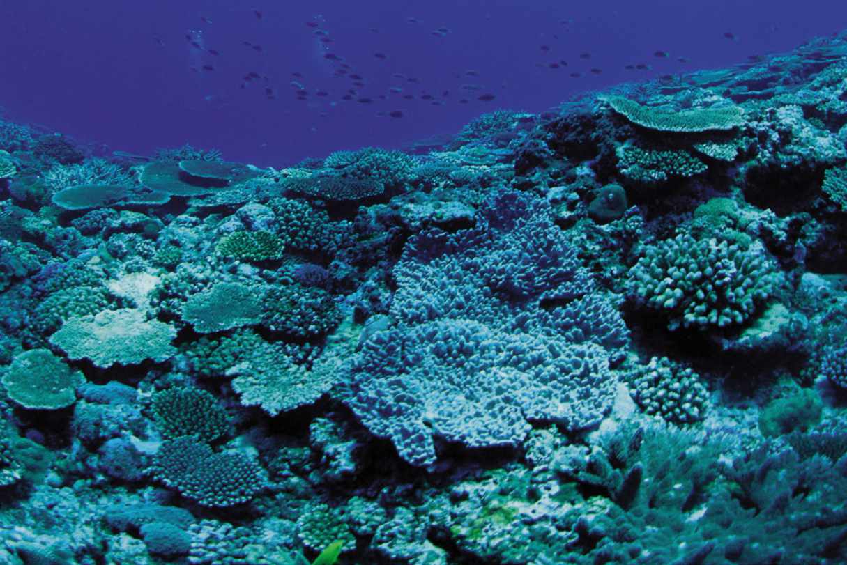 Perth - Positioning and Survey Course 2026