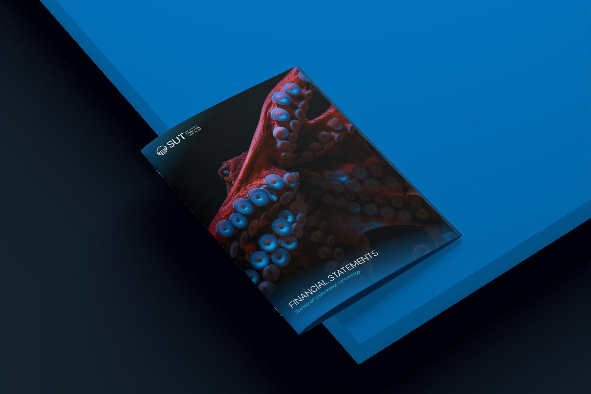 Financial Statement image